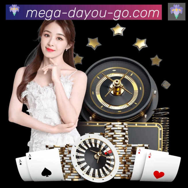 未来规划